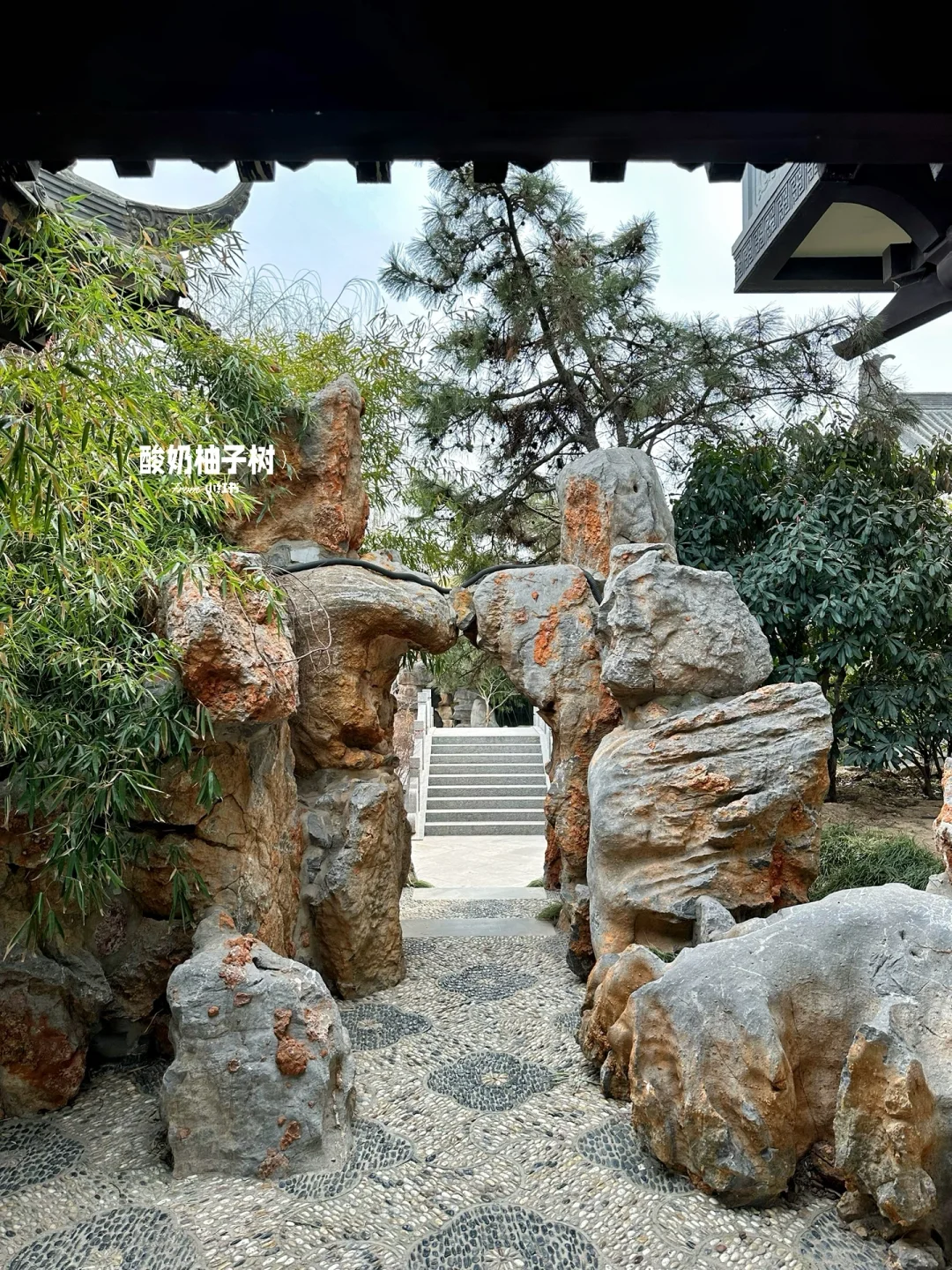 真的不在江南🍃离安阳ZZZ近的园林!!