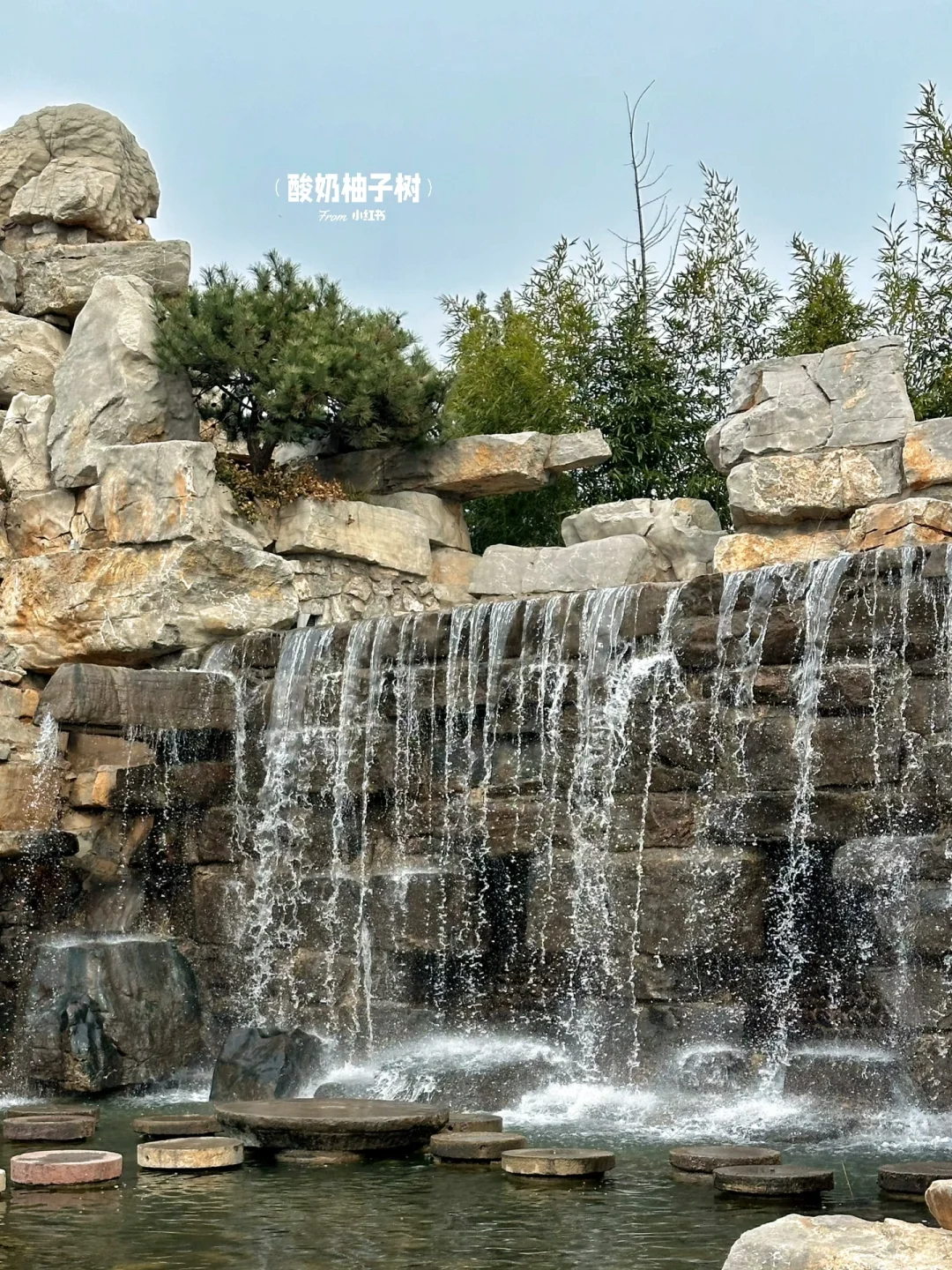 真的不在江南🍃离安阳ZZZ近的园林！！