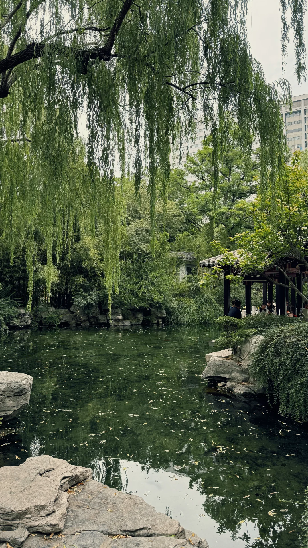 济南的夏天