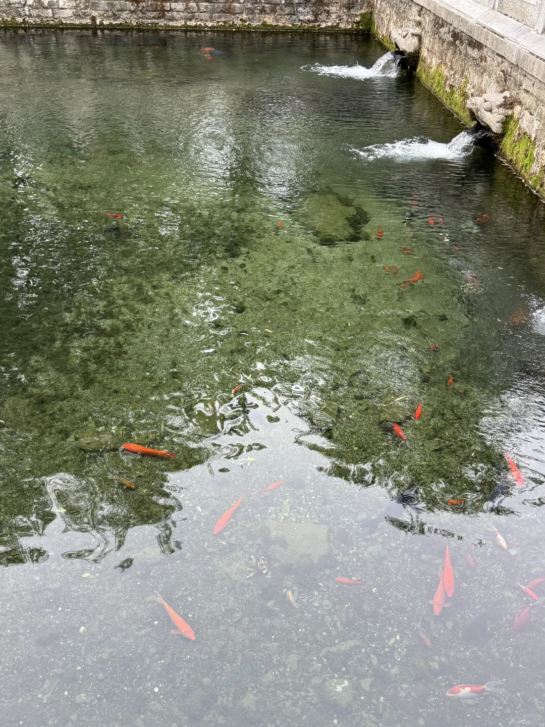 济南的夏天