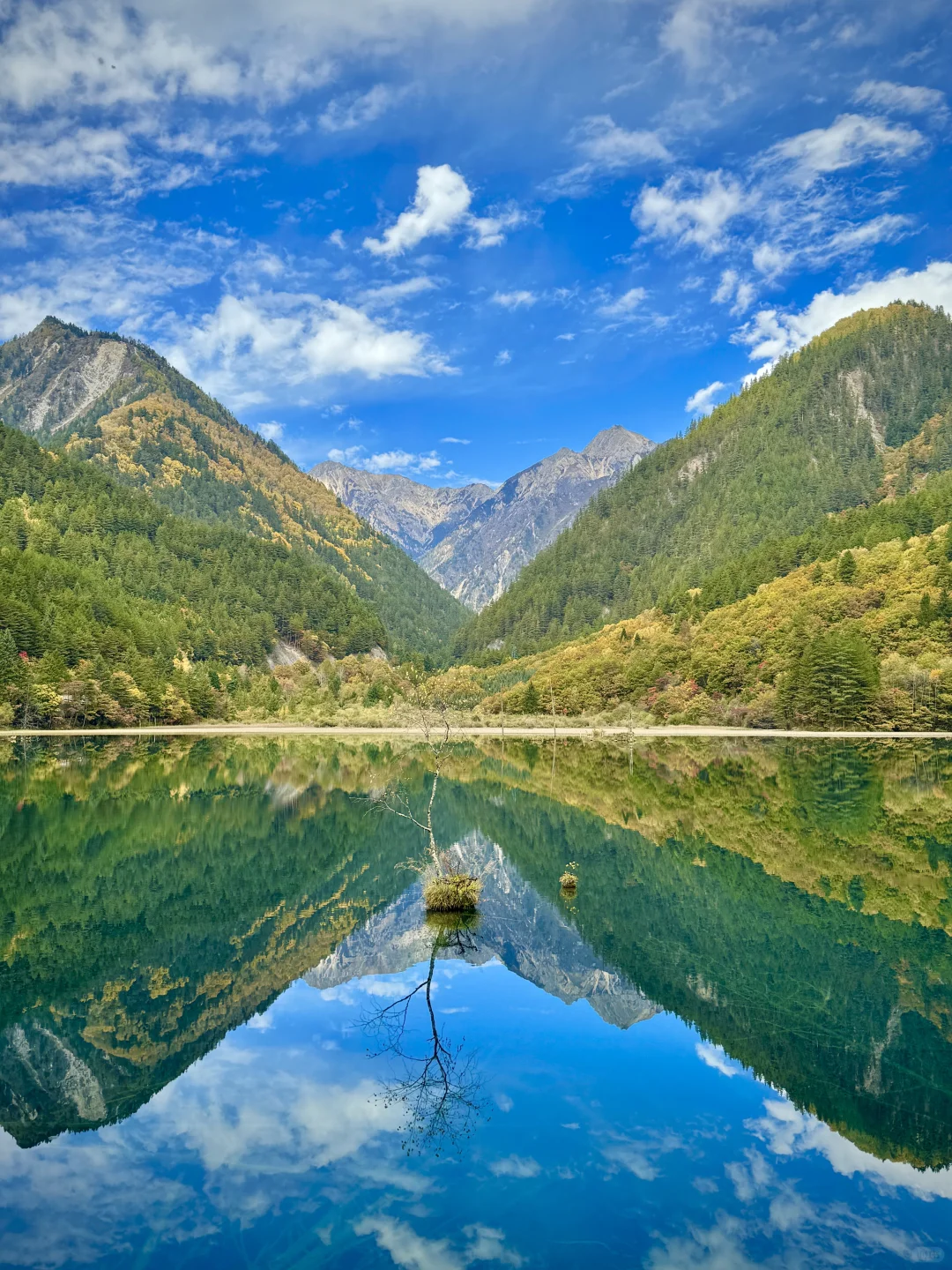 live图❗️秋天的九寨沟,每一帧都是童话世界