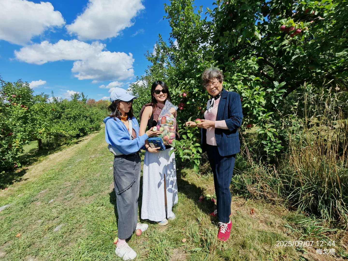 油画般优美的Magog小镇一日,景点美食攻略