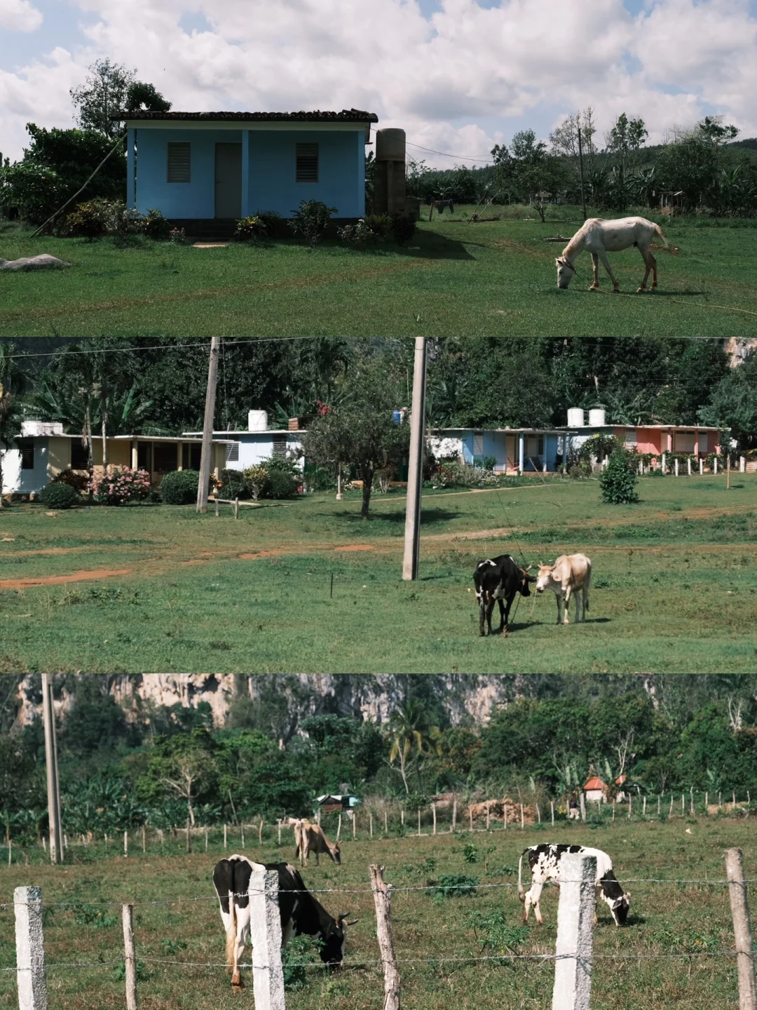 🇨🇺古巴攻略2·Viñales 山野小镇吃喝玩乐