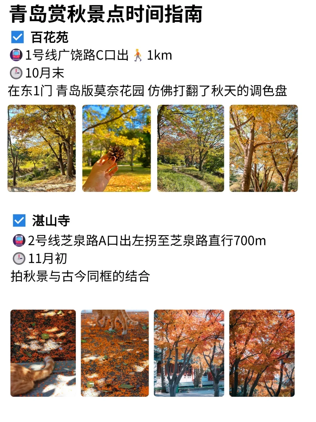 青岛赏秋攻略~一定要去的景点