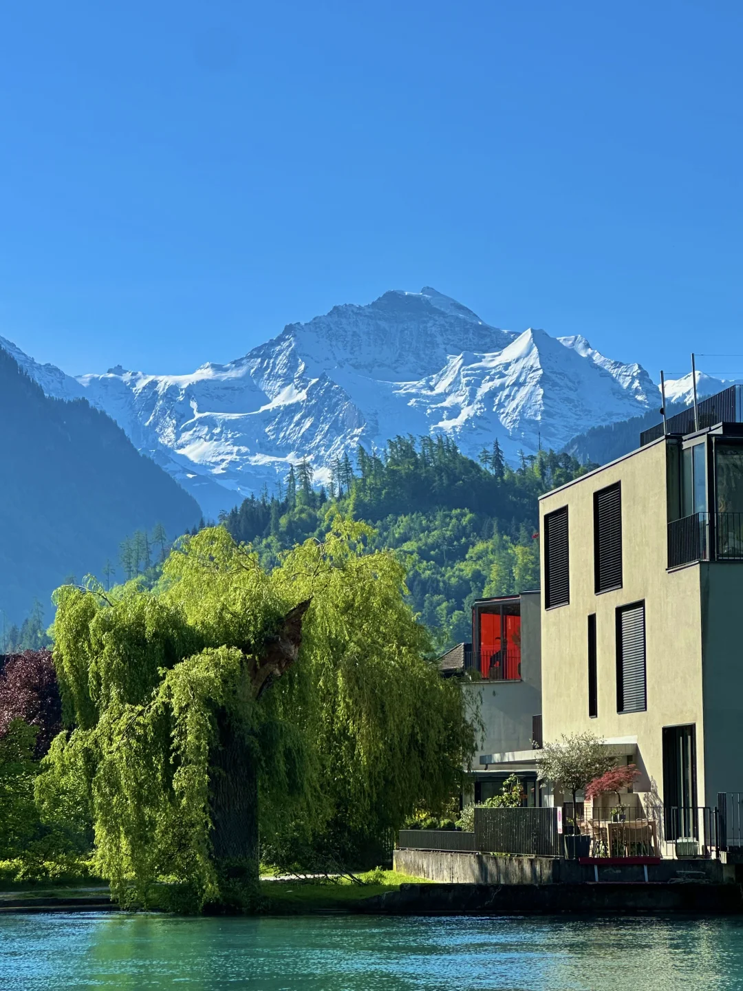🇨🇭 Interlaken|因特拉肯⋆。‧˚ 🩵ིྀ ˚‧。⋆