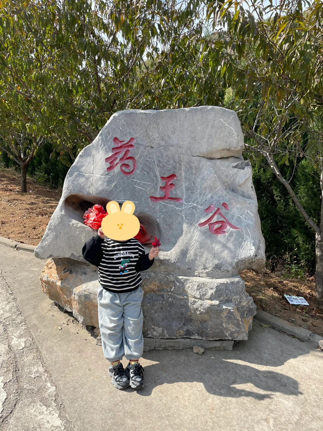 邯郸周末惠民旅游—药王谷