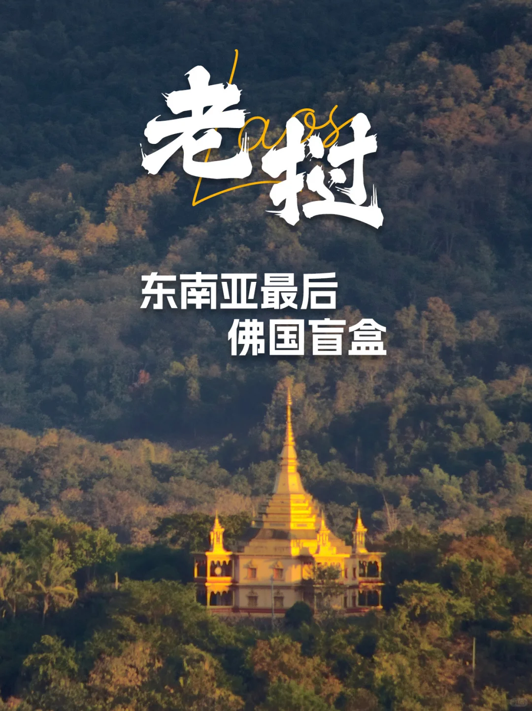 🌅湄公河畔的🛕佛国秘境