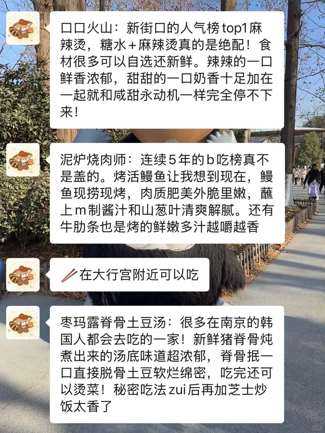 红山动物园大更新！再不看就晚咯