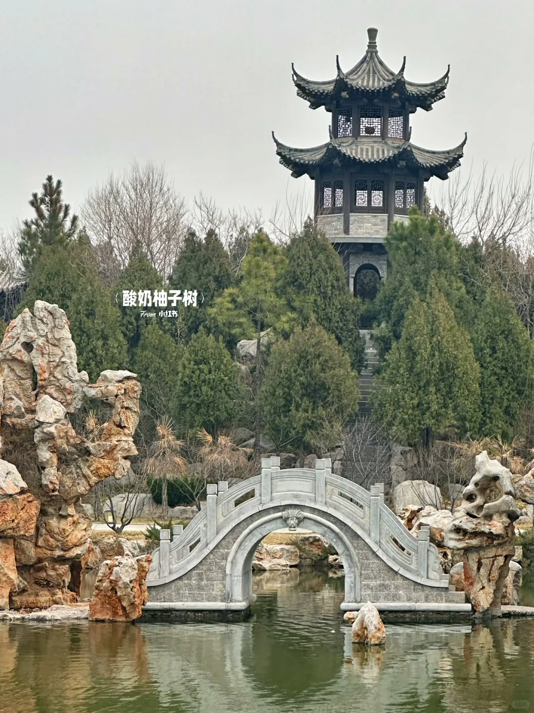 真的不在江南🍃离安阳ZZZ近的园林!!
