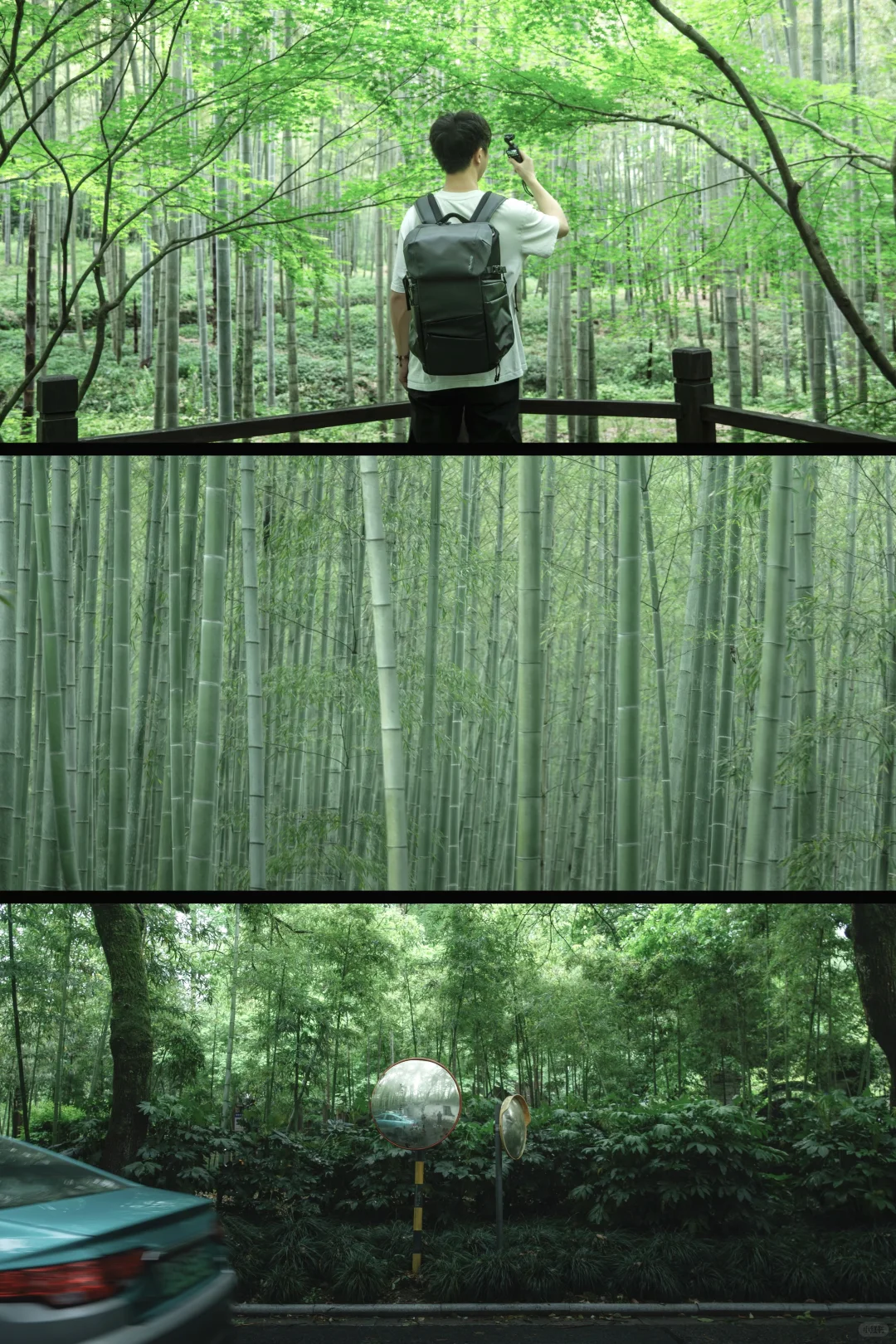 杭州🍃建议感觉能量低的人都走一下这条路线