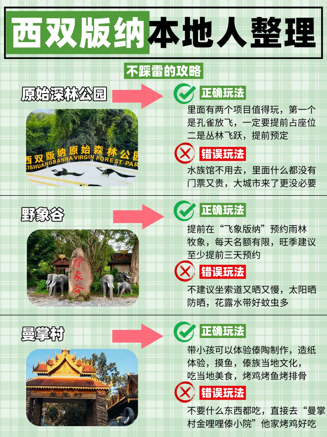 西双版纳旅游攻略|正确玩法不踩雷⚠️