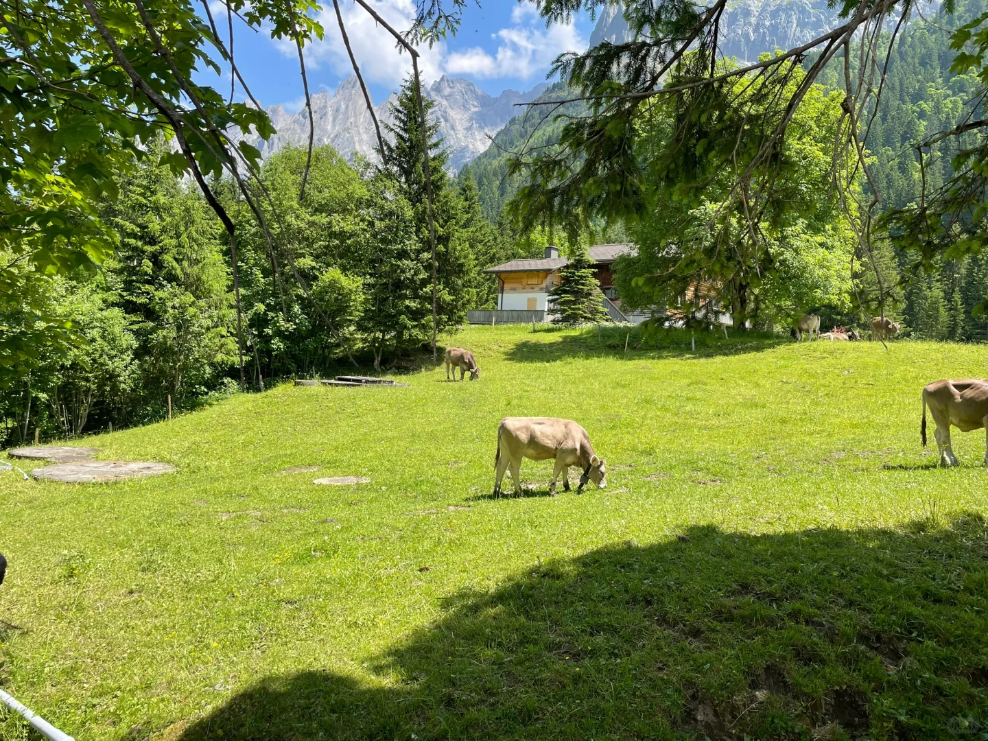 Switzerland