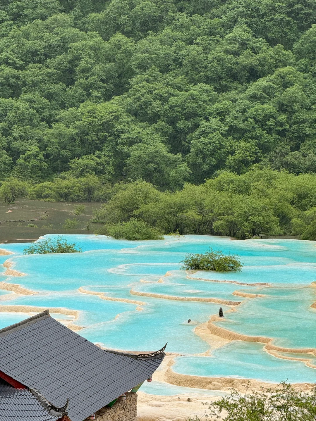 黄龙很美~再也不来了🫠
