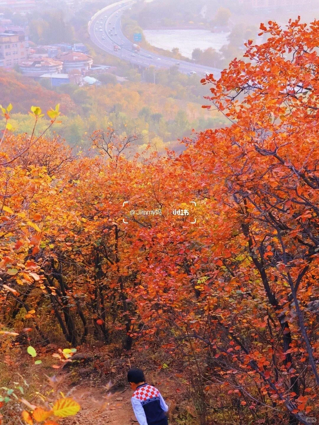 10.19北京🍁已达顶流7️⃣个遛娃赏秋地可冲啦