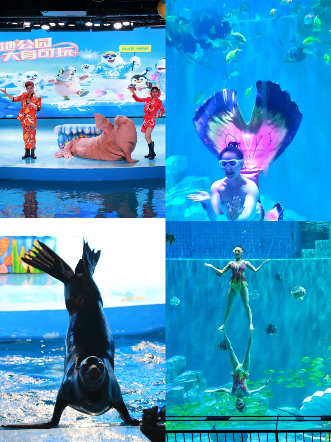 人均1000💰哈尔滨3天2夜！吃住行旅游攻略！