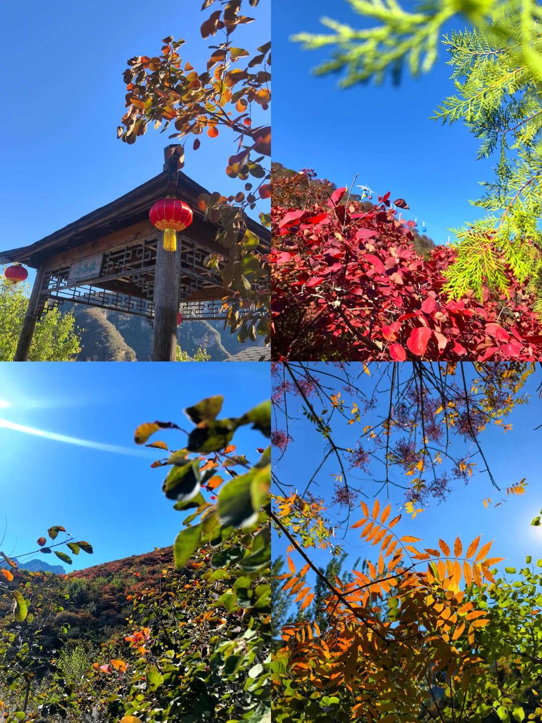 坡峰岭秋日亲子游攻略,就是现在,快冲!!