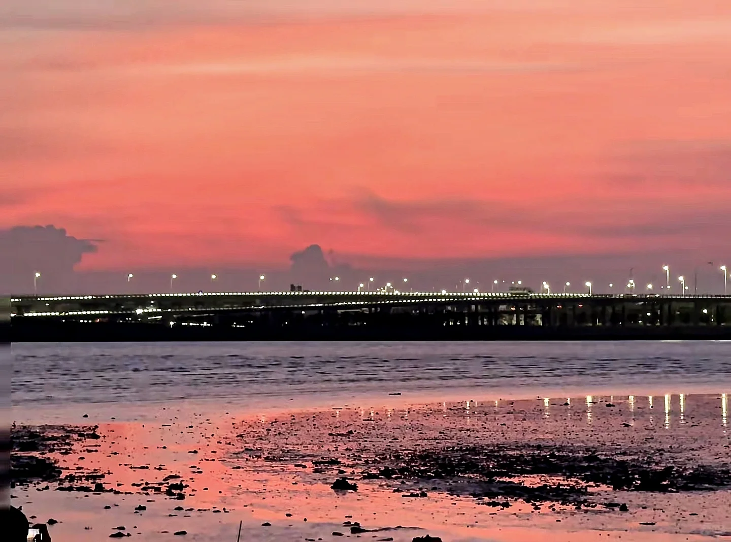 深圳必玩景点-福田红树林景区!
