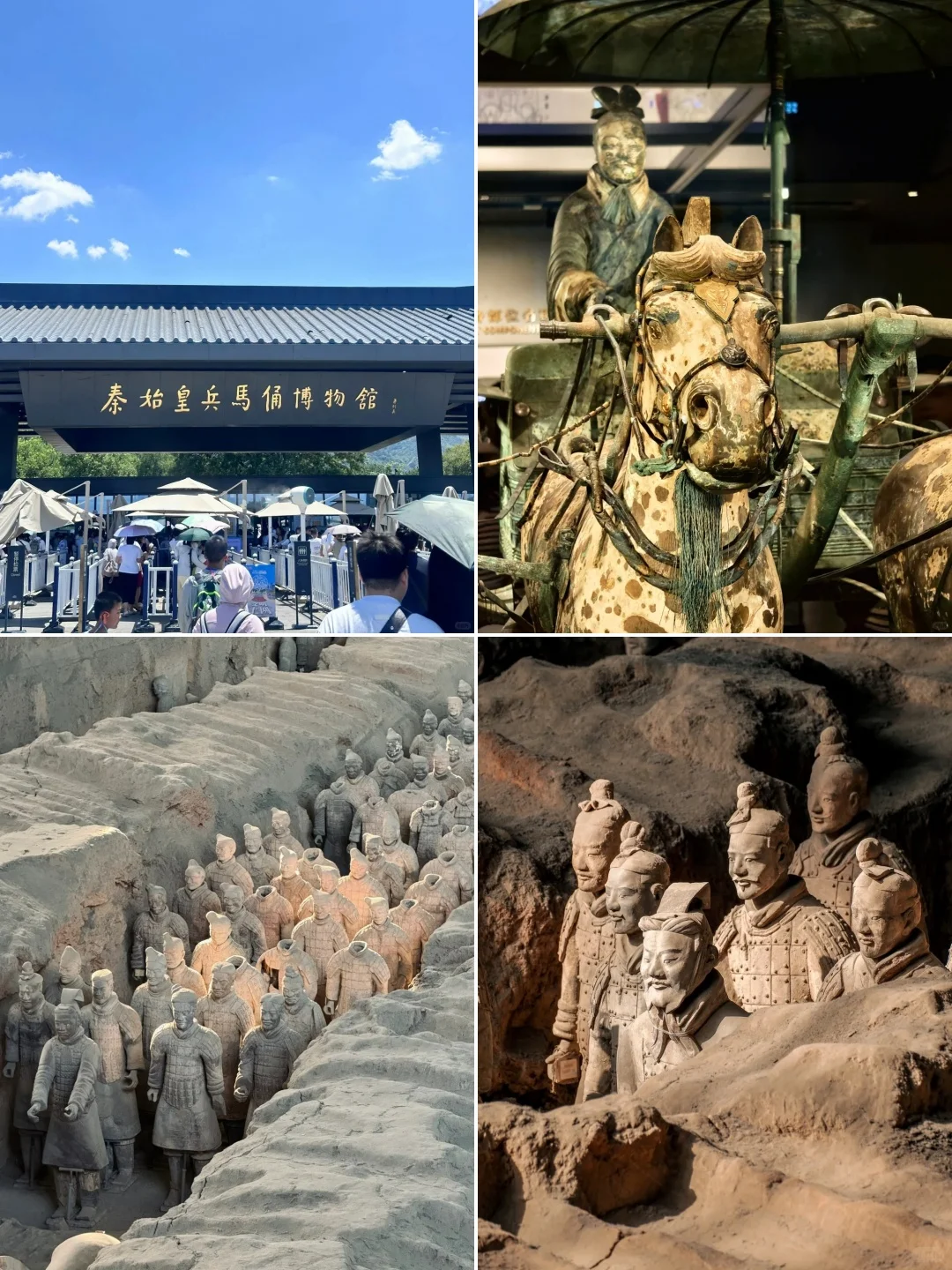 巨省心❤️四天三晚人均700+💰懒人攻略