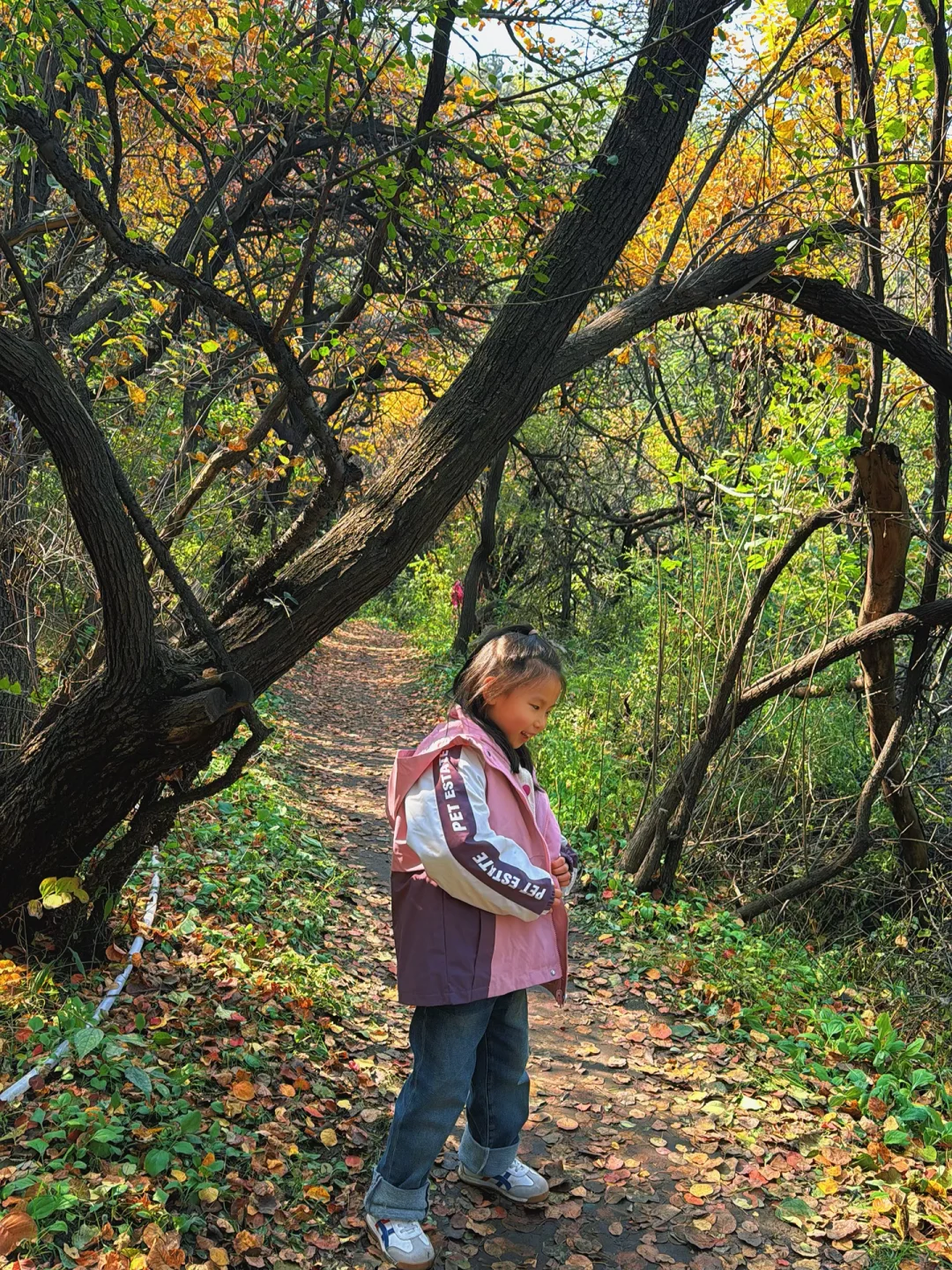🍁太原龙山|10.25实时美景攻略,层林尽染