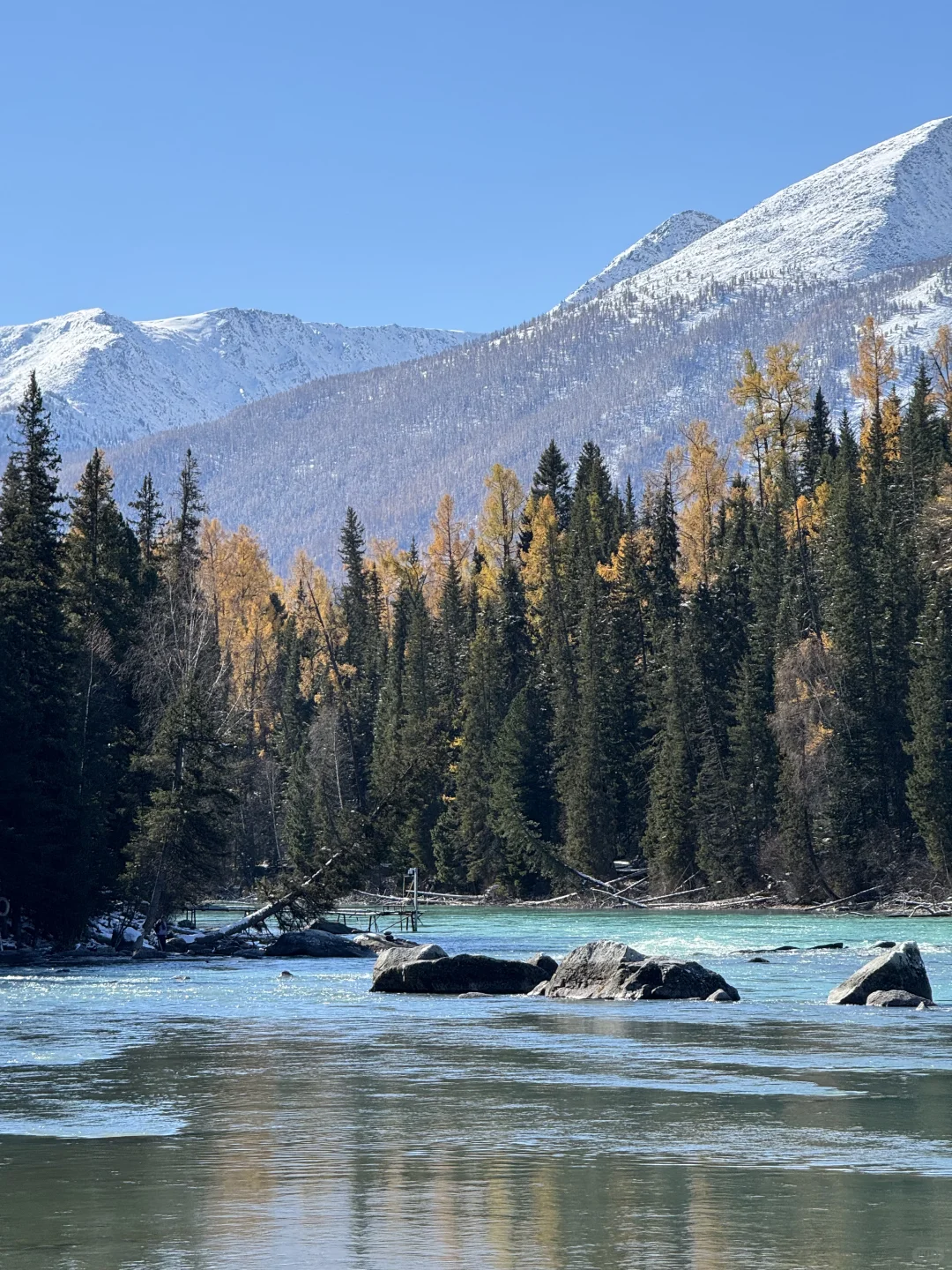 10.6中秋节豪赌喀纳斯成功！
