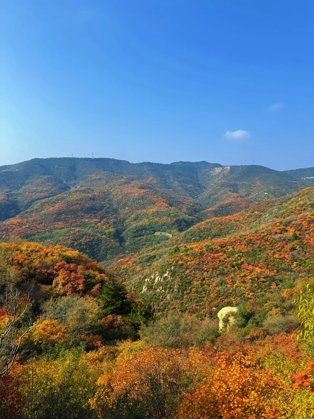 🍁太原龙山|10.25实时美景攻略,层林尽染