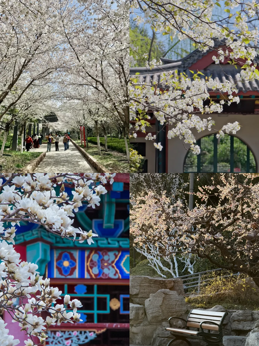 哇哇❗❗大明湖你真的是什么都有(攻略版)