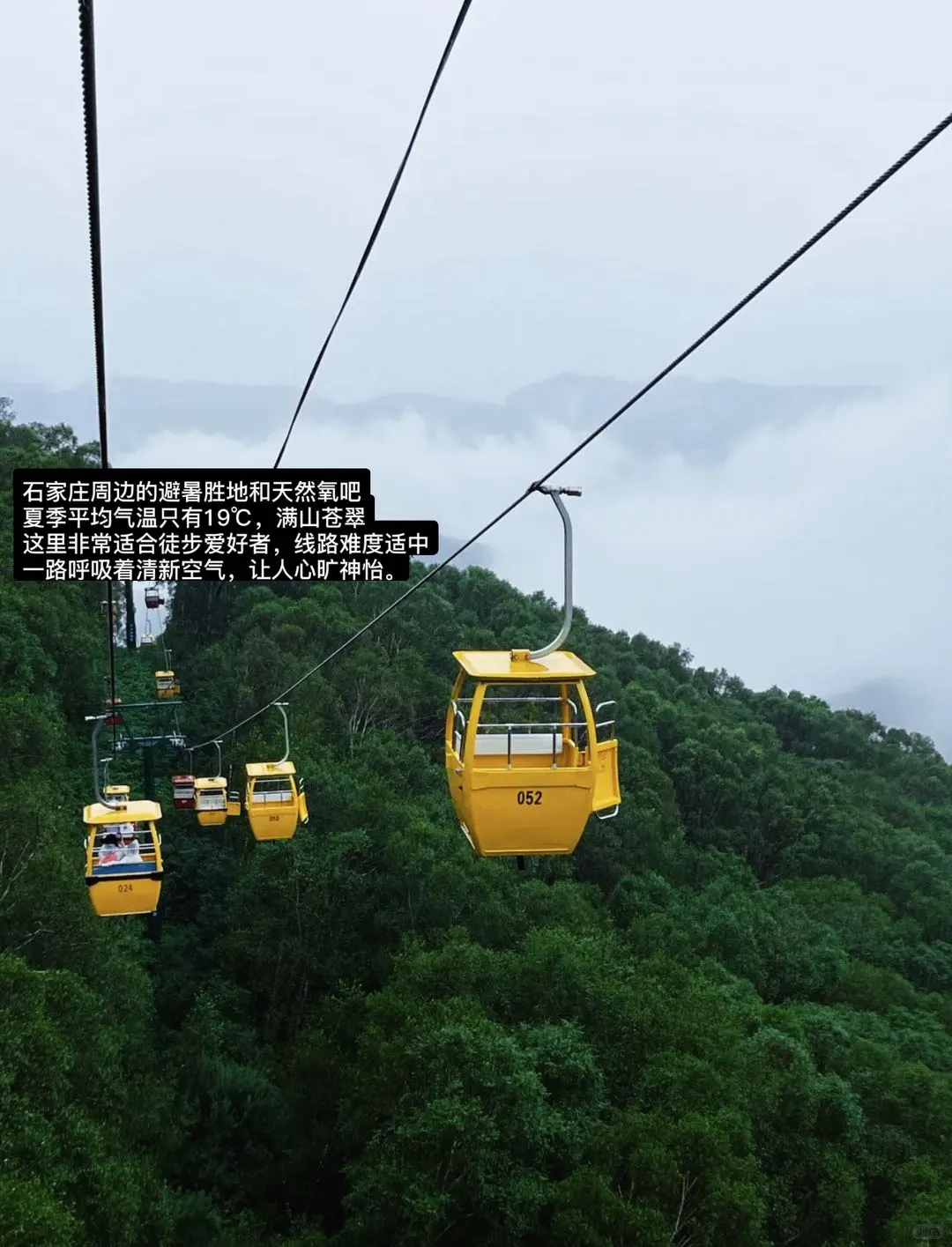 石家庄📍三天两夜citywalk,吃喝逛打卡攻略