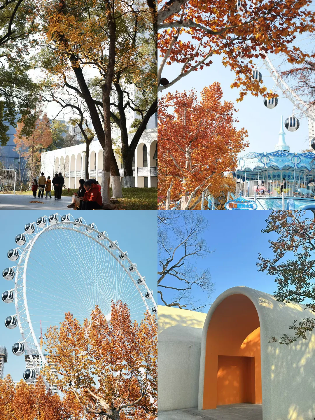 王源宜昌演唱会带你们不要门票玩打卡点