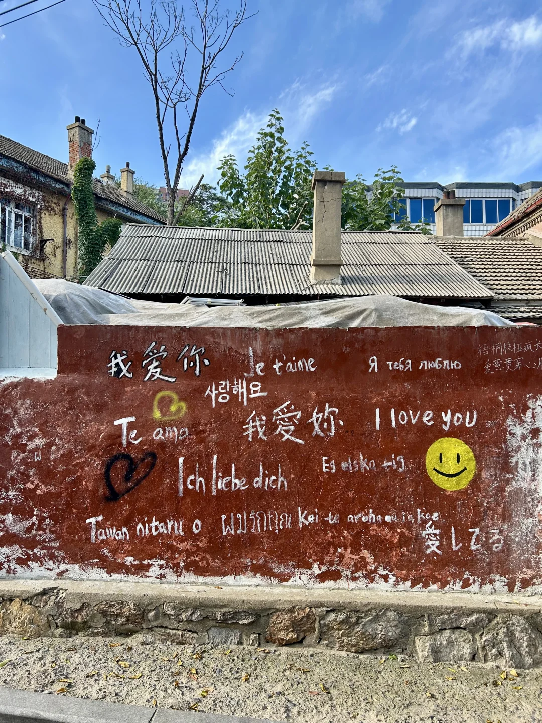 在大连淡人独爱的一条citywalk路线!