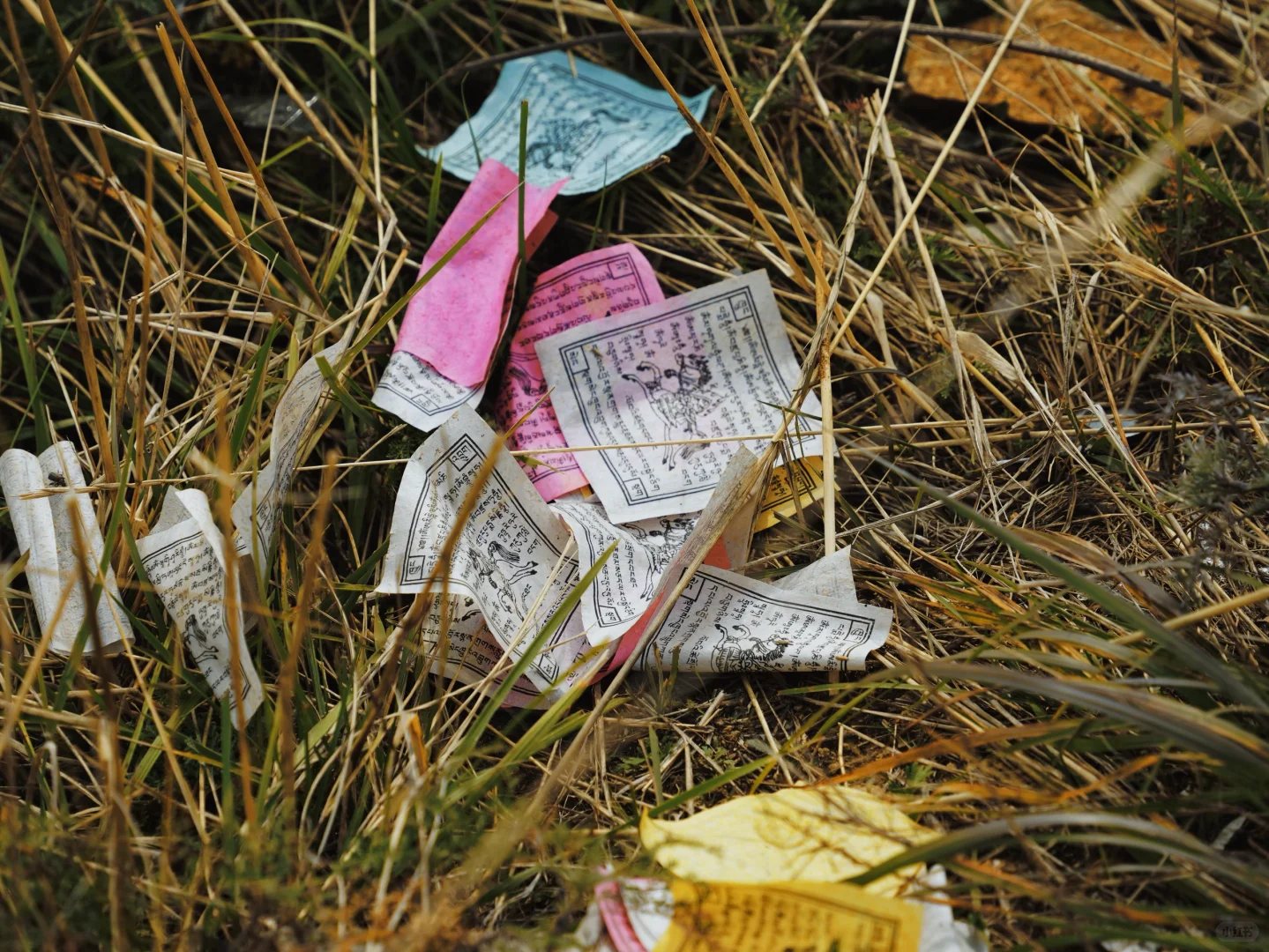 10.5 红石崖+九龙湾 不堵车赏秋🍂