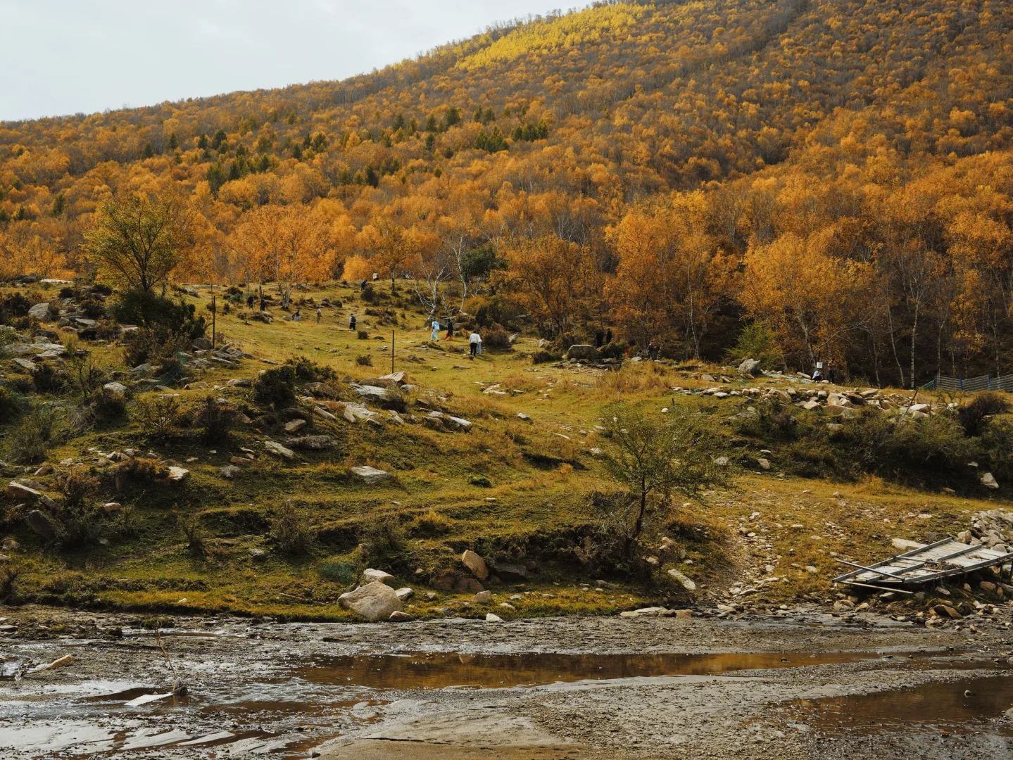 10.5 红石崖+九龙湾 不堵车赏秋🍂