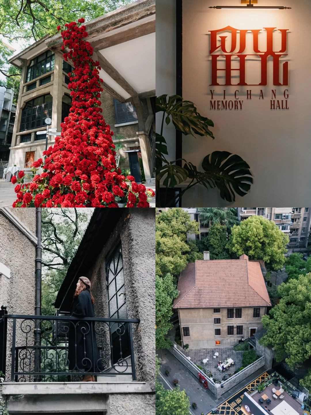 王源宜昌演唱会带你们不要门票玩打卡点