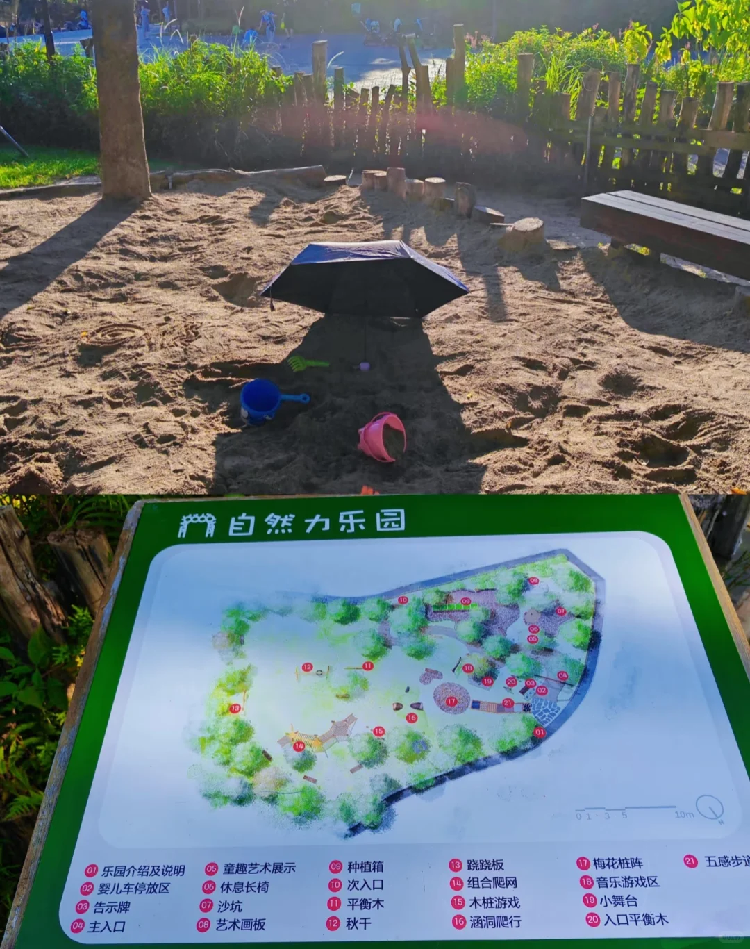 深圳必玩景点-福田红树林景区!