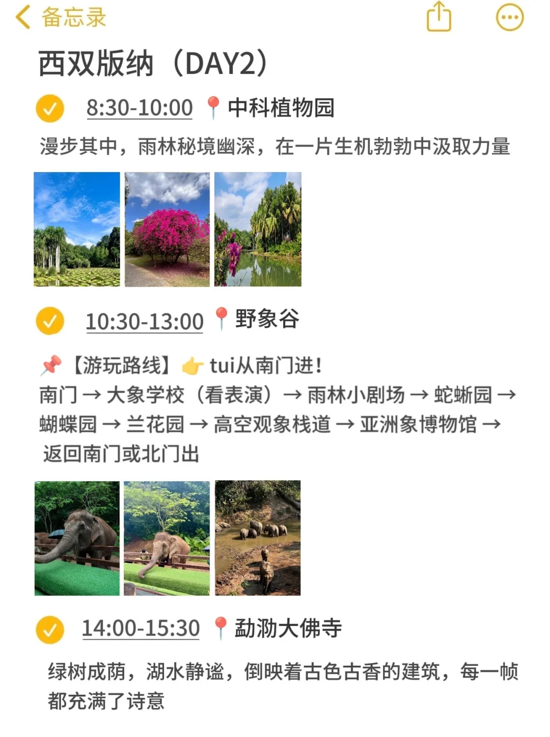 本地人带你玩西双版纳👀