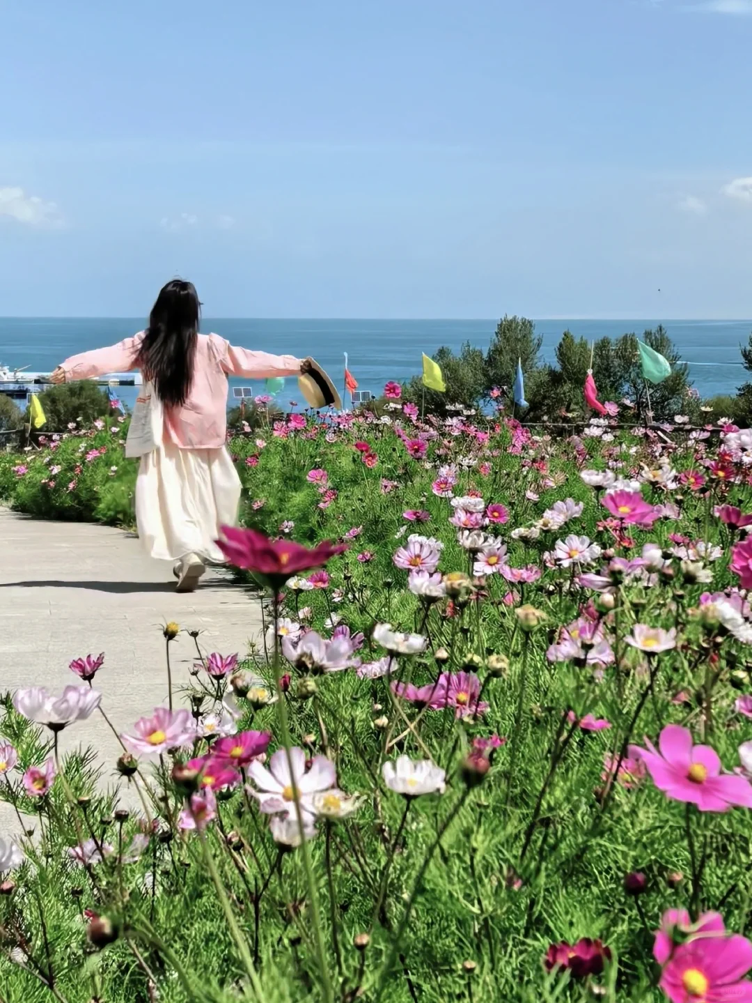 live图直出!青海湖九月花海封神现场!