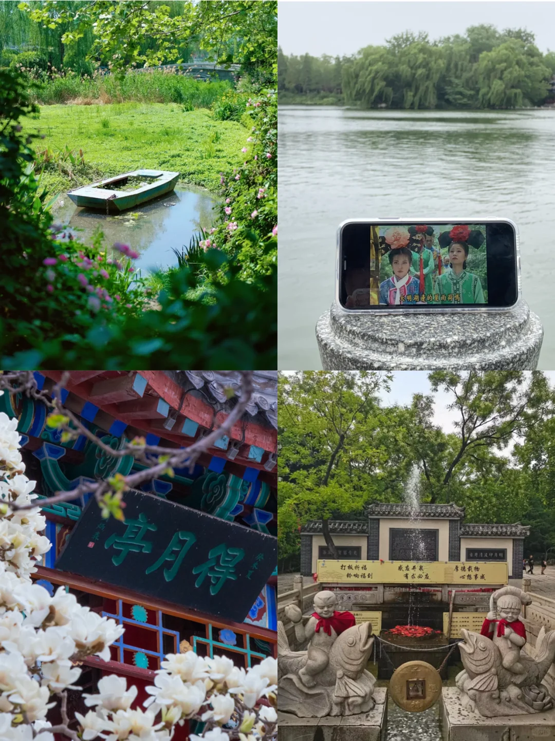 哇哇❗❗大明湖你真的是什么都有(攻略版)