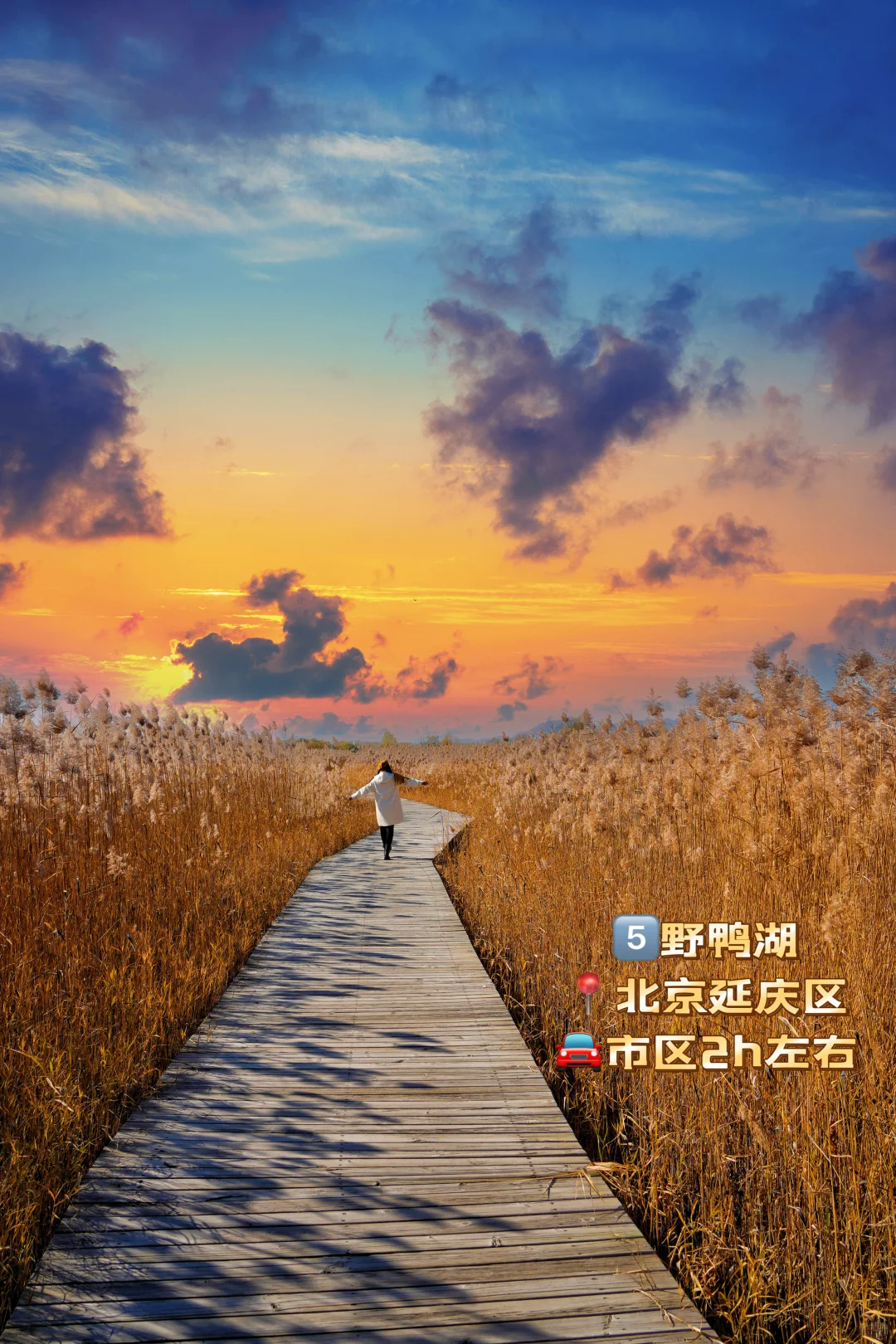 合集 | 北京秋天8条绝美徒步路线一定要来‼️