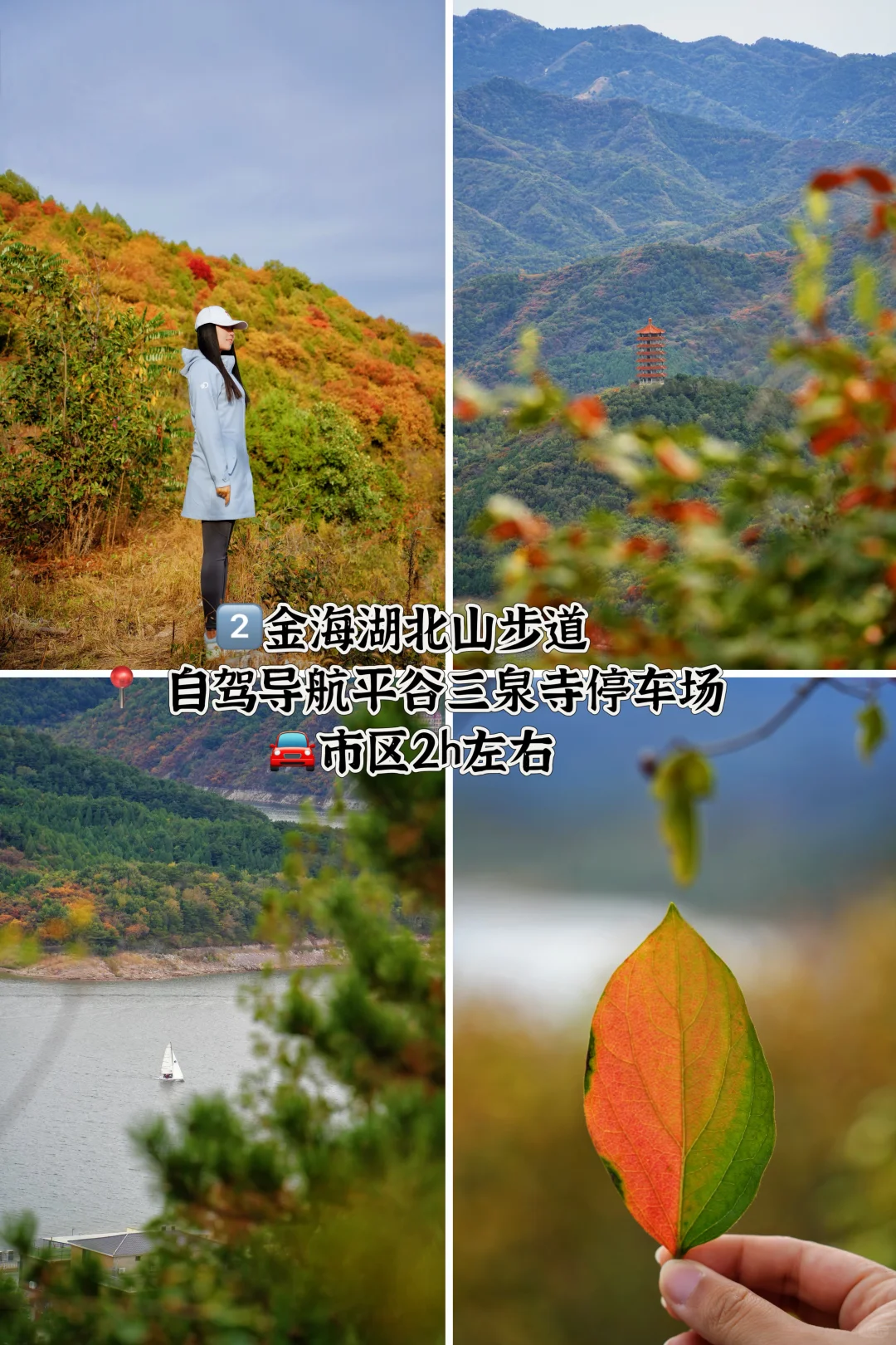 合集 | 北京秋天8条绝美徒步路线一定要来‼️