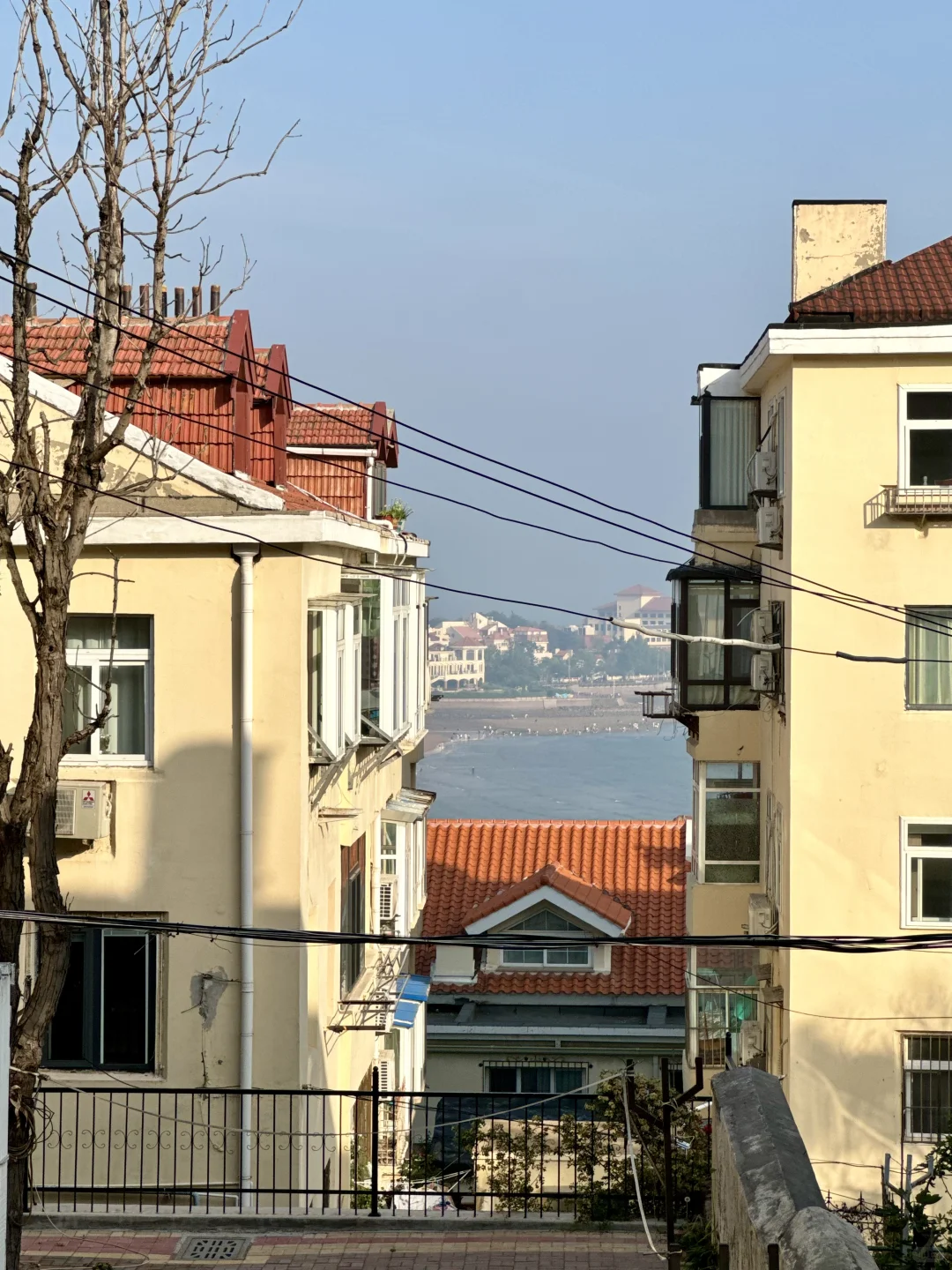 本J人对自己做的青岛旅游复盘甚是满意😍…