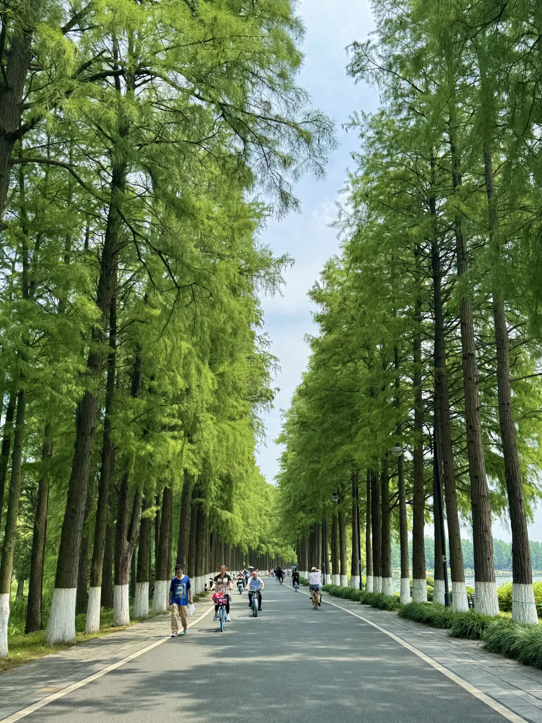 去了东湖N次,还是钟爱这3条徒步骑行路线♻️