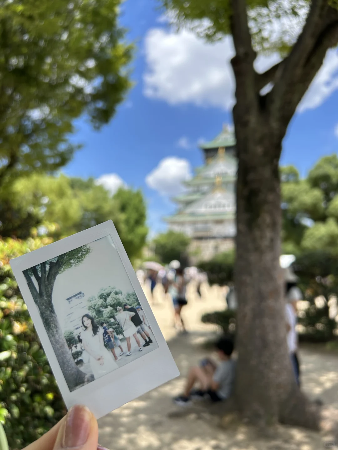 关于我18岁一人勇闯日本12天的攻略与问答
