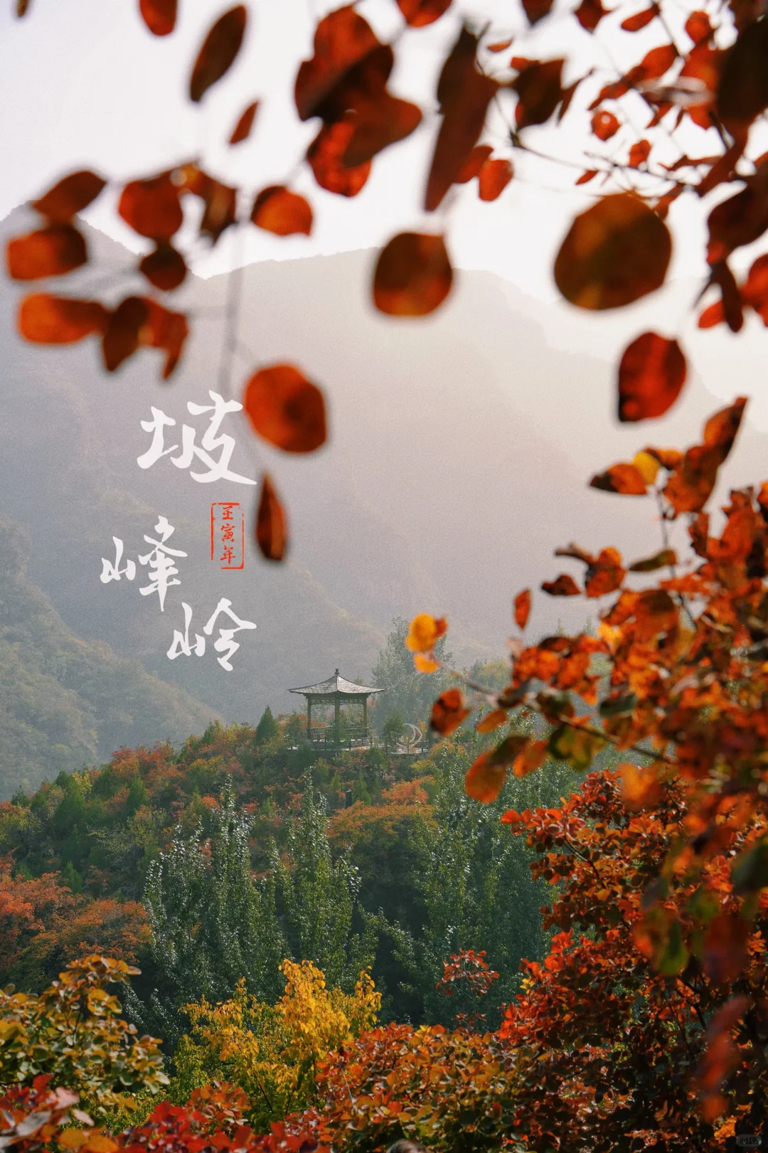 合集 | 北京秋天8条绝美徒步路线一定要来‼️