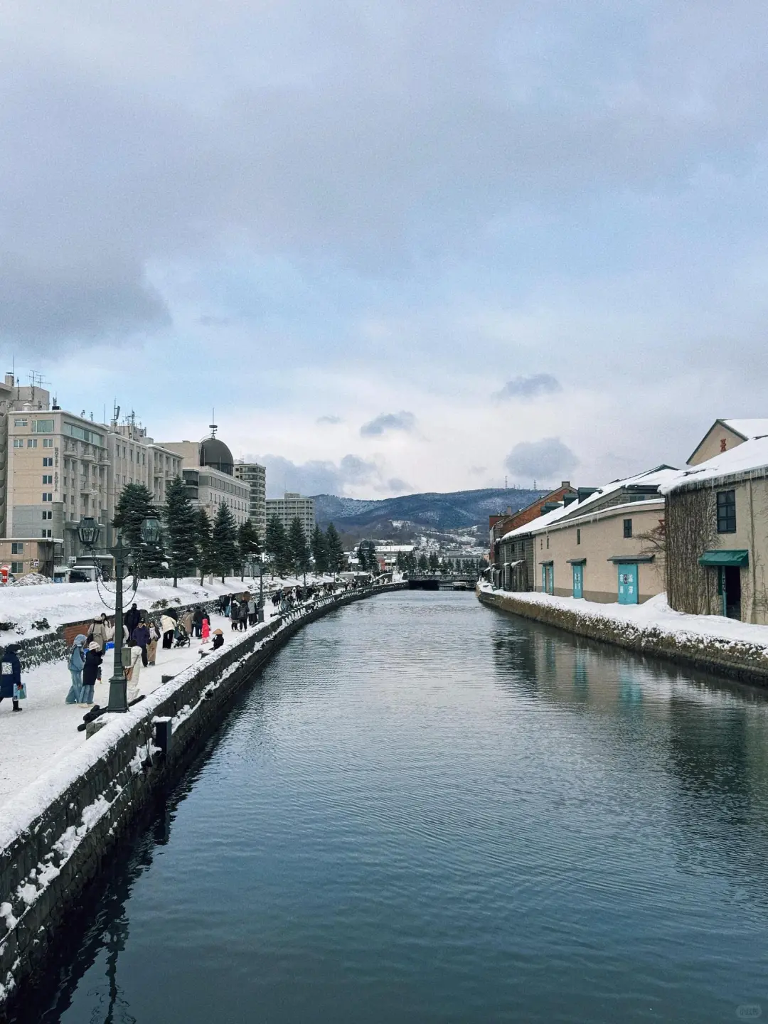 北海道冬季超全景点打卡攻略|冰雪童话必看