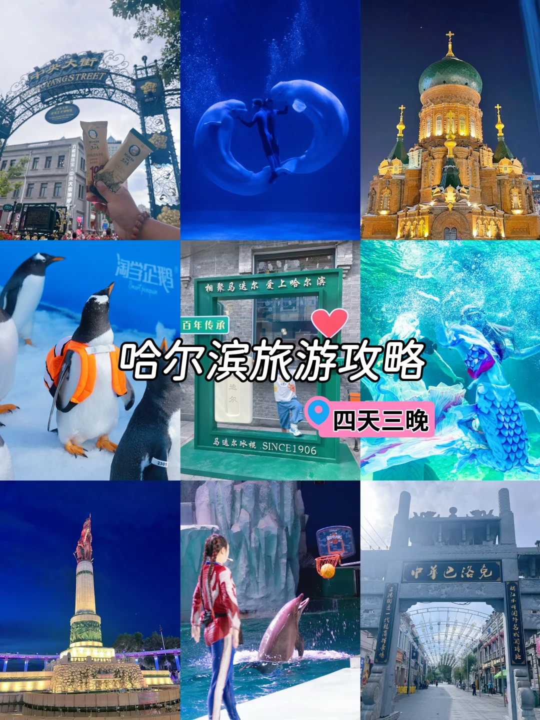 哈尔滨4天3晚旅游攻略❗看着一篇就够了