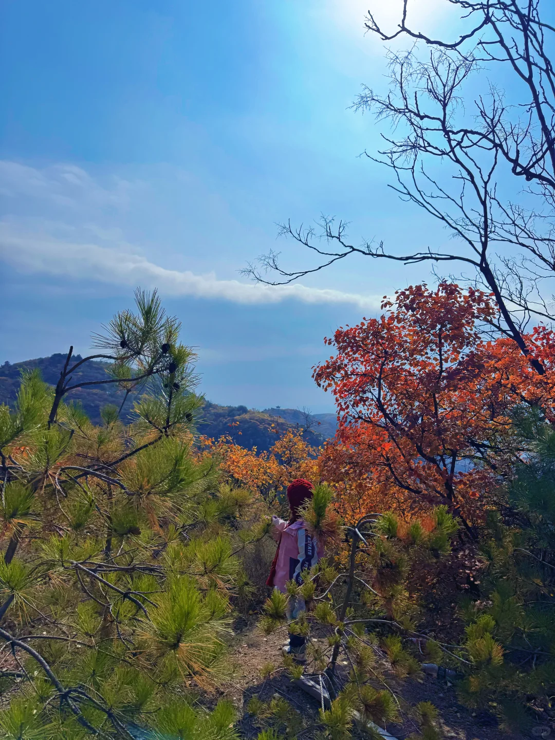 🍁太原龙山|10.25实时美景攻略,层林尽染