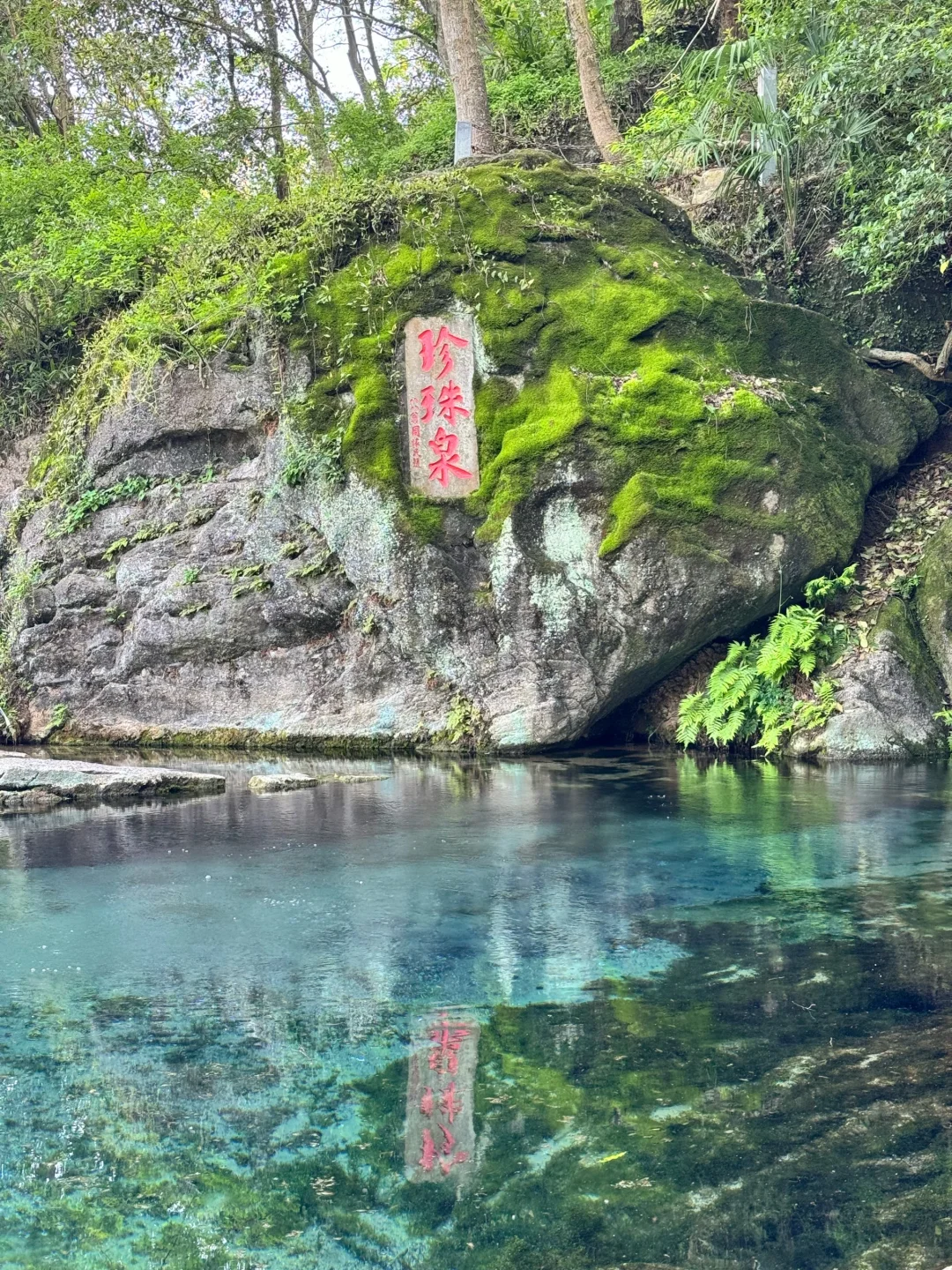 山东济南2日游攻略了解一下🤗🤗