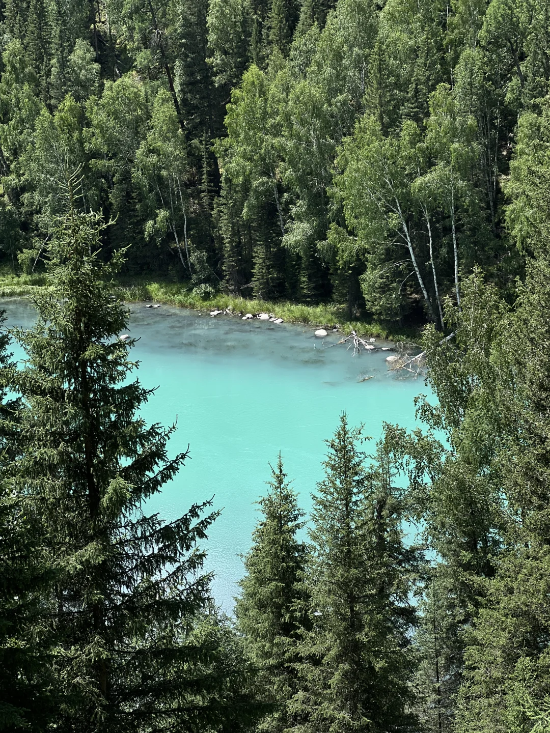 徒步|我的阿勒泰,神的喀纳斯