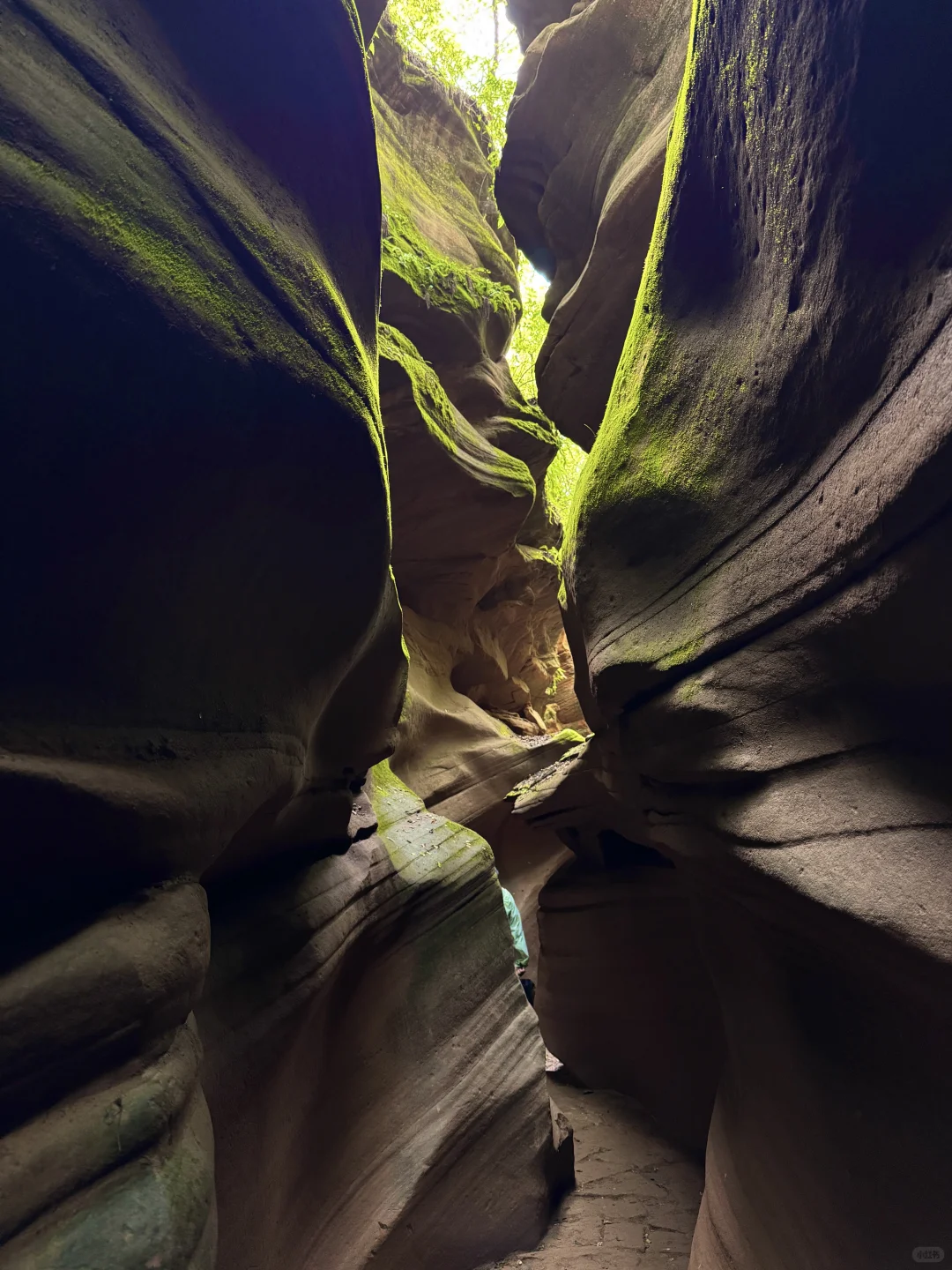 陕西·近期去过最美景区💚