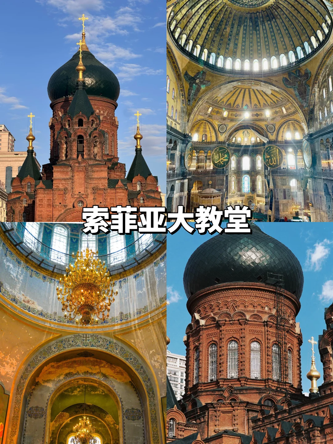 人均1000💰哈尔滨3天2夜!吃住行旅游攻略!