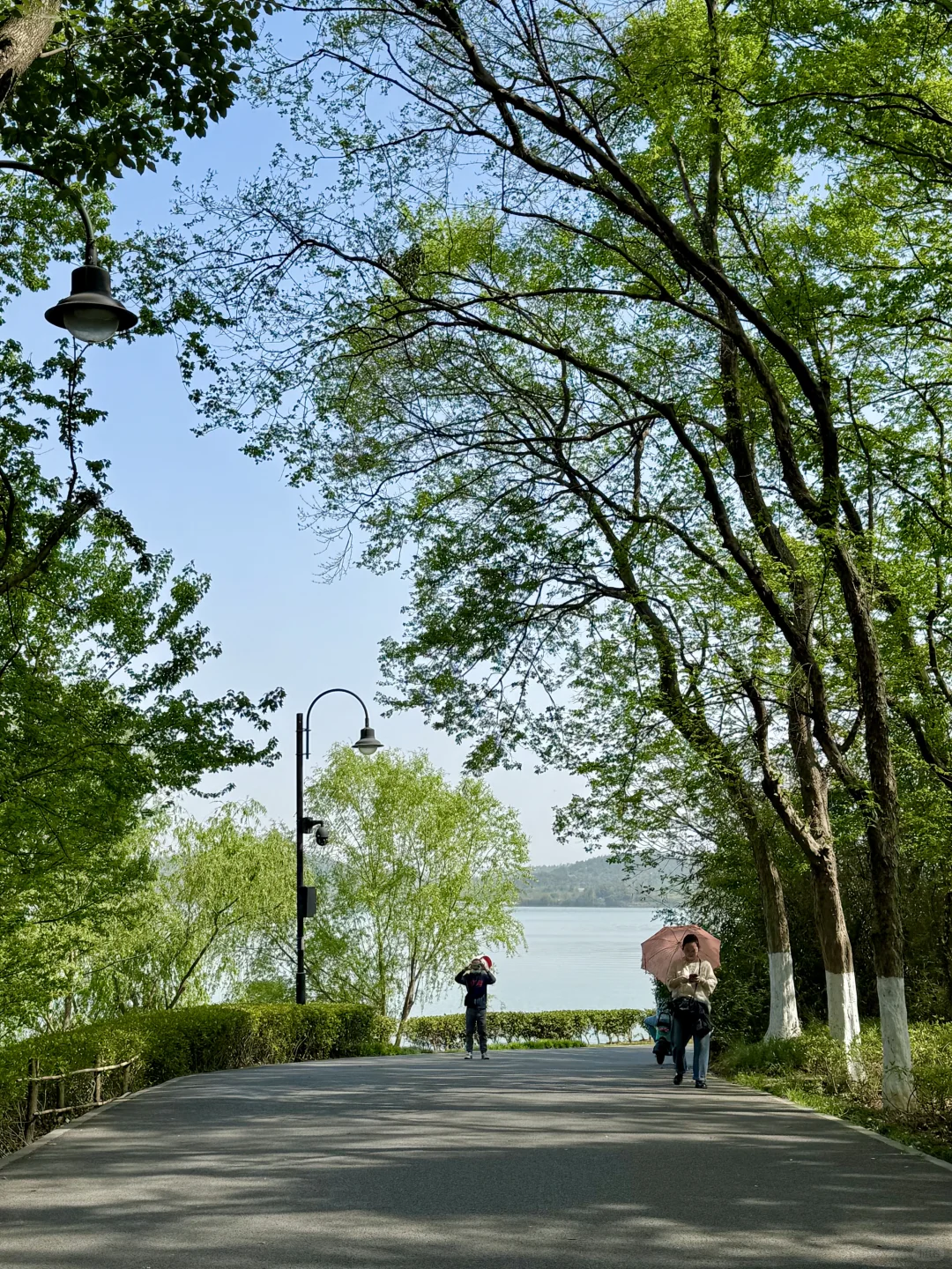 去了东湖N次,还是钟爱这3条徒步骑行路线♻️